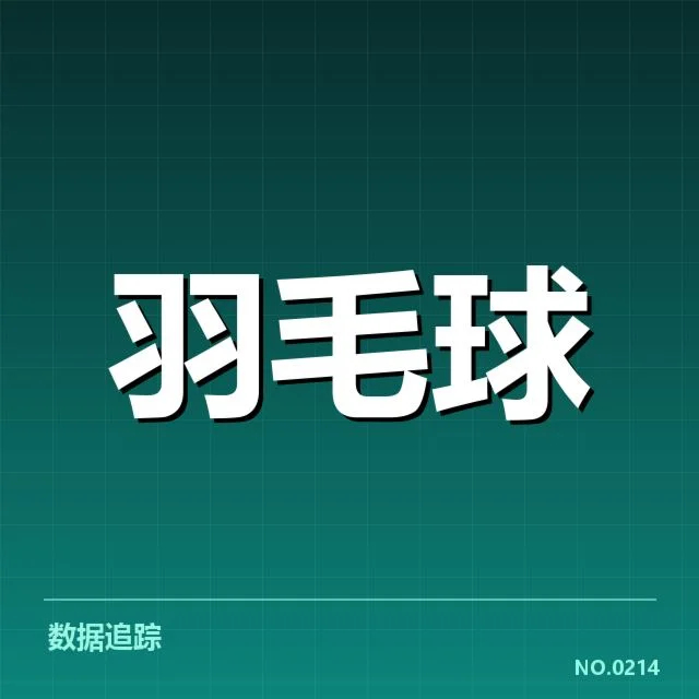 女双战术配合背后,队伍间默契与战术布局的深层解读